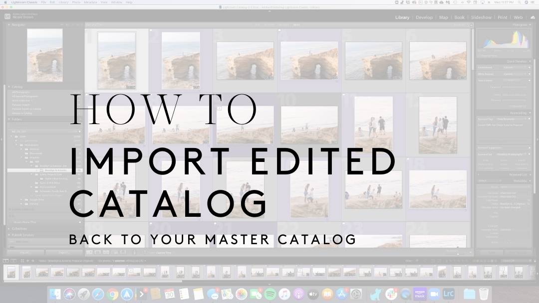How to Import an Edited Catalogue Into a Master Catalogue